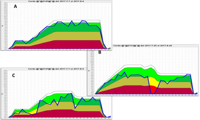 Figure 2. Repr&eacute;sentation graphique de la consommation de truies allaitantes obtenue gr&acirc;ce &agrave; l&#39;utilisation de mangeoires &eacute;lectroniques. A) profil de consommation normal, B) diminution significative; et C) l&eacute;g&egrave;re baisse de la consommation tout au long de la lactation. La zone verte montre l&#39;apport id&eacute;al pour cette truie en particulier, la zone jaune est un avertissement que l&#39;apport est r&eacute;duit et la zone rouge repr&eacute;sente une forte d&eacute;viation par rapport au profil normal de consommation et un risque &eacute;lev&eacute; de d&eacute;t&eacute;rioration ult&eacute;rieure de la reproduction. Source: GESTAL SOLO, JYGA Technologies.
