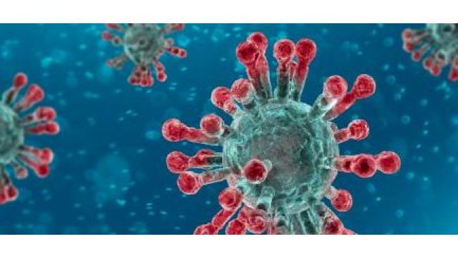 coronavirus Covid-19