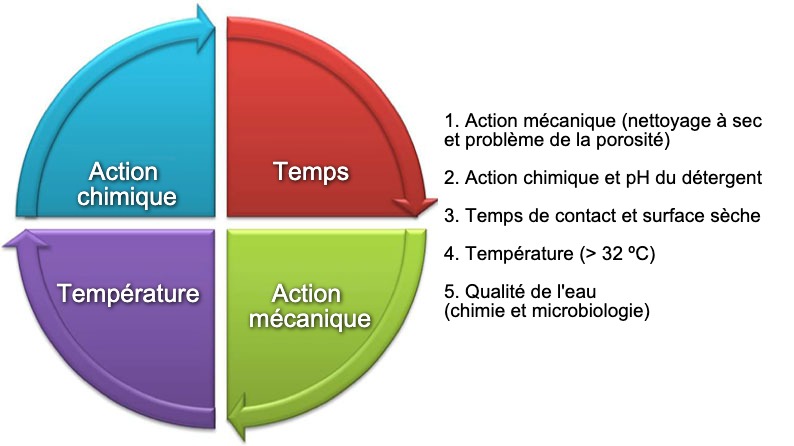 Image 1: Le cercle de Hebbert Sinner d&eacute;crit les facteurs &agrave; consid&eacute;rer lors de la conception d&#39;un protocole de nettoyage et de d&eacute;sinfection.
