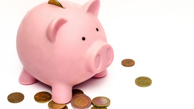prix porcs MPB