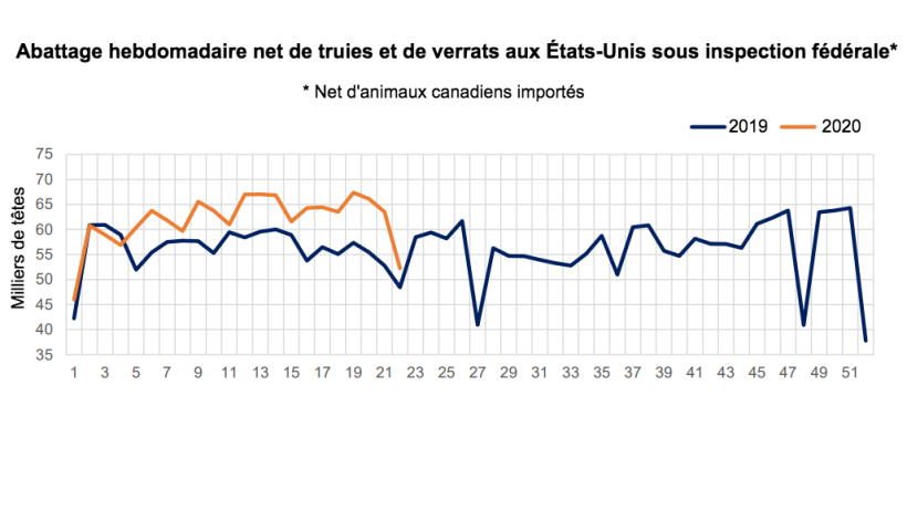 Source : USDA, transformations du Service de Recherche Economique de l'USDA, donn&eacute;es du Service de Recherche Agricole.
