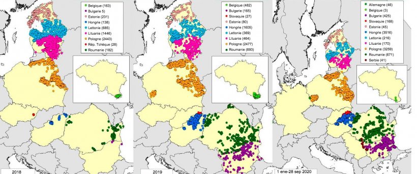 Carte des foyers d&eacute;clar&eacute;s chez les sangliers en 2018, 2019 et 2020 (jusqu&#39;au 28 septembre 2020) (Source : MAPA &agrave; partir de RASVE-ADNS)
