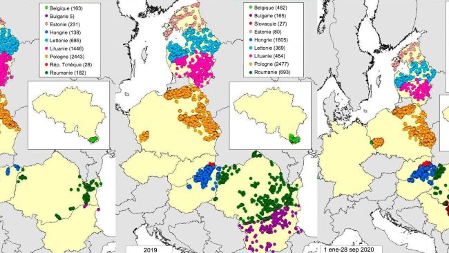 Carte des foyers déclarés chez les sangliers en 2018, 2019 et 2020 (jusqu'au 28 septembre 2020) (Source : MAPA à partir de RASVE-ADNS)
