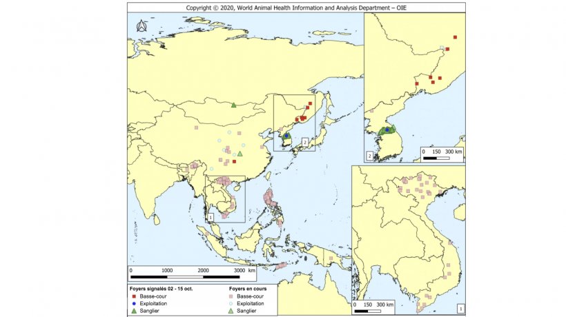 Foyers de PPA notifi&eacute;s au cours de la p&eacute;riode (couleurs d&#39;intensit&eacute; plus &eacute;lev&eacute;e) et foyers en cours (couleurs d&#39;intensit&eacute; plus faible). Source : OIE.
