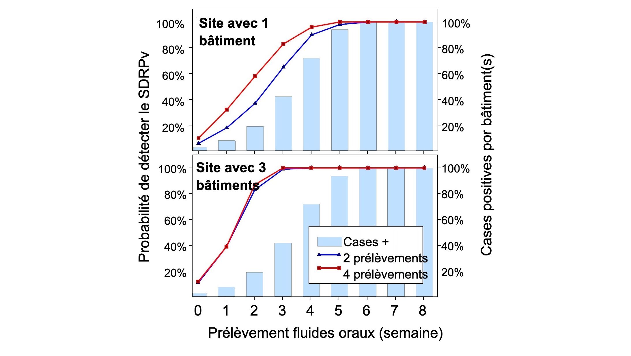 Figure 1. D&eacute;tection du SDRPv &agrave; l'aide d'un &eacute;chantillonnage spatial fixe. Probabilit&eacute; de d&eacute;tecter &ge; 1 &eacute;chantillon positif au SDRP en fonction du nombre d'&eacute;chantillons pr&eacute;lev&eacute;s par b&acirc;timent (2 ou 4) et du nombre de cases &eacute;chantillonn&eacute;es par &eacute;levage (1 ou 3). Notez que la probabilit&eacute; de d&eacute;tection augmente g&eacute;om&eacute;triquement avec le nombre de cordes et de b&acirc;timents &eacute;chantillonn&eacute;s. Donn&eacute;es de Rotolo et al., (2017).
