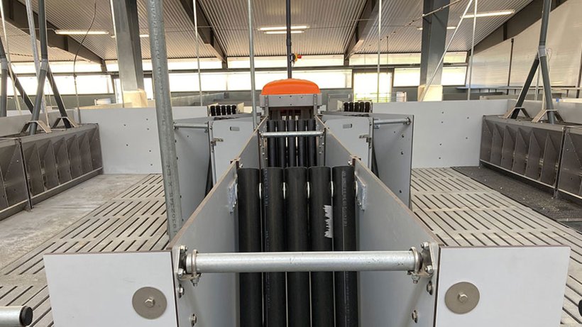 Centro: Puerta de salida de TriSortpro, el comedero autom&aacute;tico DryWet a la izquierda y a la derecha. Los tubos negros impiden que los cerdos regresen a la estaci&oacute;n.&nbsp;
