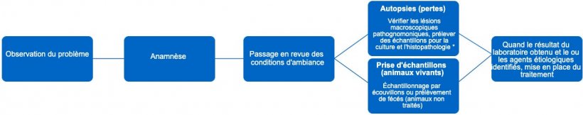 Figure 1. Dans cet arbre de d&eacute;cision, les &eacute;tapes &agrave; suivre pour &eacute;tablir un diagnostic pr&eacute;cis et un traitement correct sont d&eacute;termin&eacute;es. * Le type de l&eacute;sion peut nous donner des informations sur l&#39;agent infectieux.
