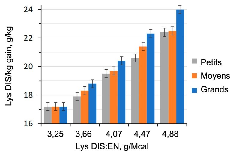 Figure 1. Effet du rapport lysine-énergie du régime alimentaire chez les porcs d'engraissement (28-63 kg PV) classés en fonction de leur poids initial (Aymerich et al., 2020).