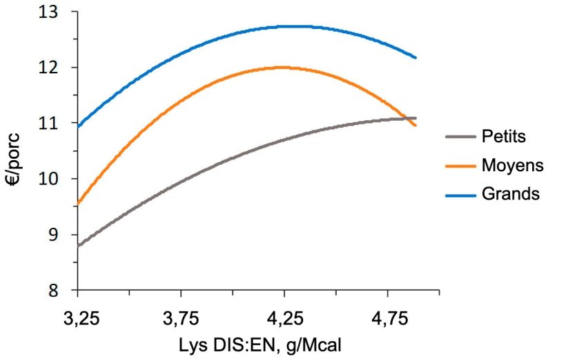 Figure 2. Modélisation économique (IOFFC) de l'effet du rapport lysine-énergie chez les porcs d'engraissement (28-63 kg PV) classés selon leur poids initial (d'après Aymerich et al., 2020)