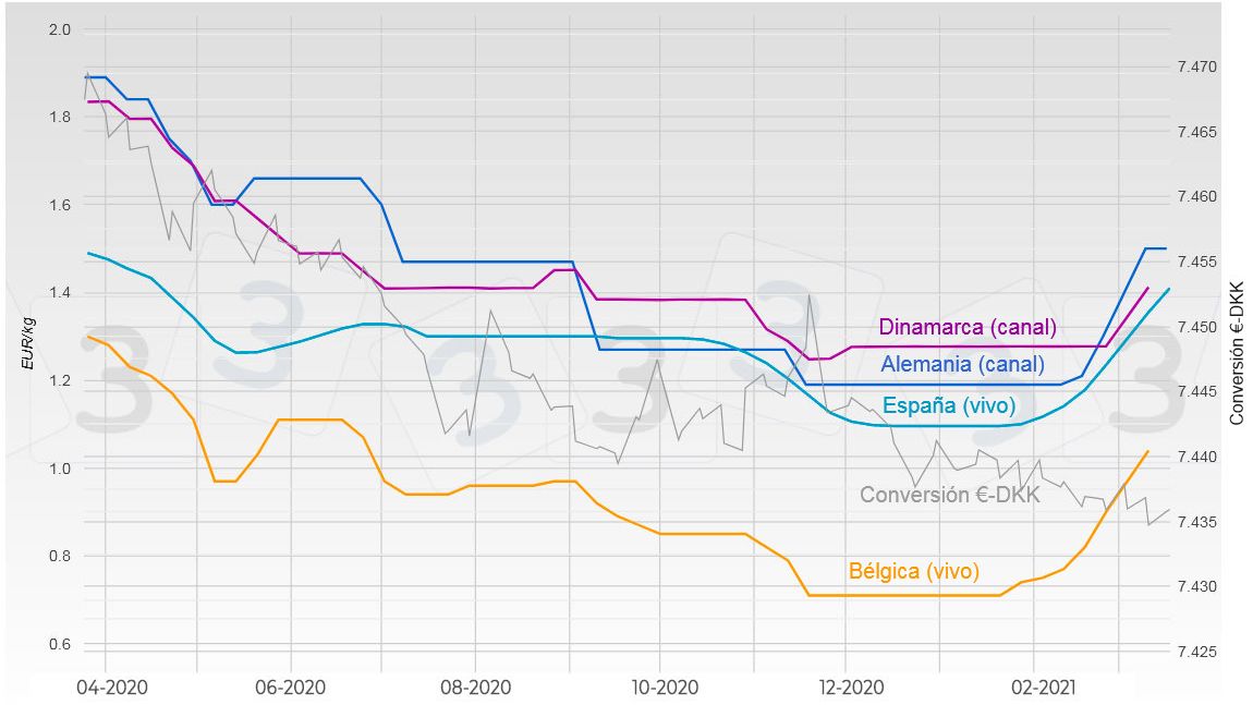 Graphique 2. &Eacute;volution du prix du porc en Allemagne, Espagne, Danemark et Belgique.
