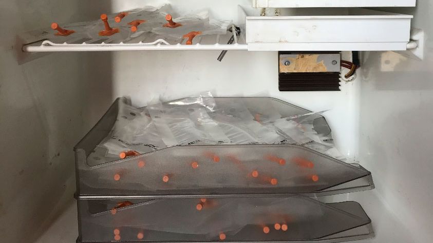 Photo 1. Placer les doses dans des plateaux dispos&eacute;es les unes sur les autres afin d'&eacute;viter la s&eacute;dimentation inad&eacute;quate des spermatozo&iuml;des et faciliter leur mouvement p&eacute;riodique pour leur homog&eacute;n&eacute;isation.
