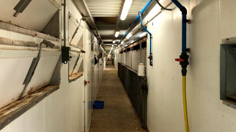 Image 2. L'utilisation de p&eacute;diluves &agrave; l'entr&eacute;e des salles de maternit&eacute;s, ainsi que les mesures g&eacute;n&eacute;rales de nettoyage et d'ordre dans l'&eacute;levage, sont importantes pour minimiser la pression d'infection.
