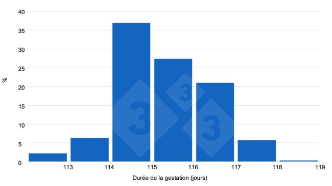 Graphique 1. Les réponses des utilisateurs de 333 indiquent une tendance vers des gestations supérieures à 115 jours.