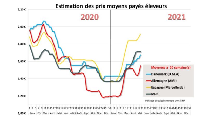 prix porcs