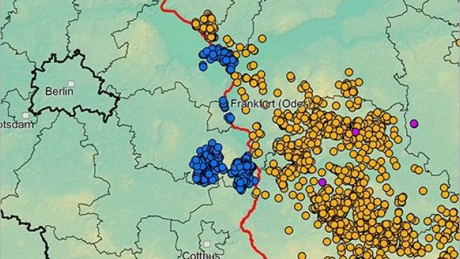 Peste porcine africaine en Allemagne et dans l'ouest de la Pologne depuis septembre 2020. Source : ADIS, TSN (à partir du 21 mai 2021).