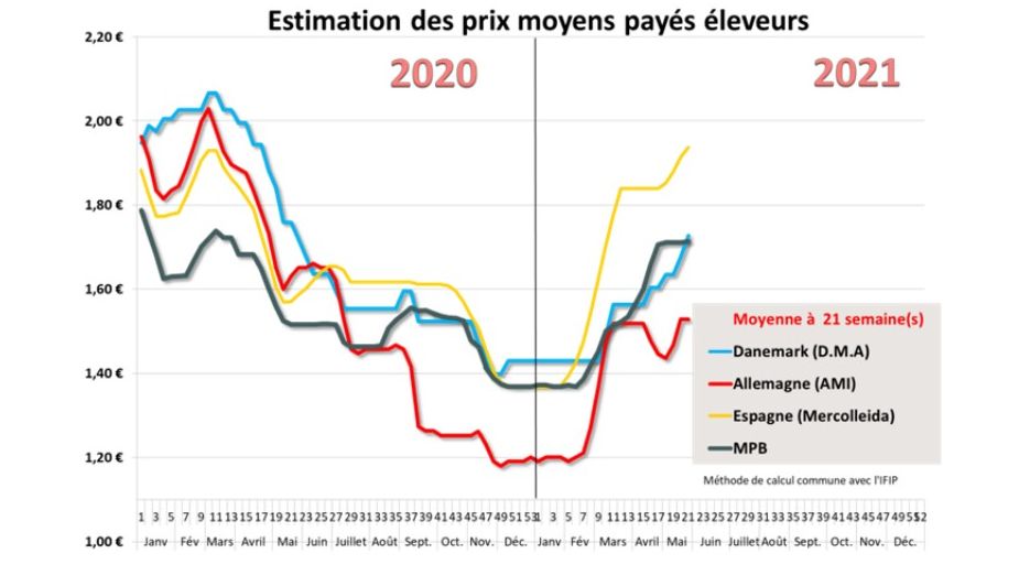 prix porc