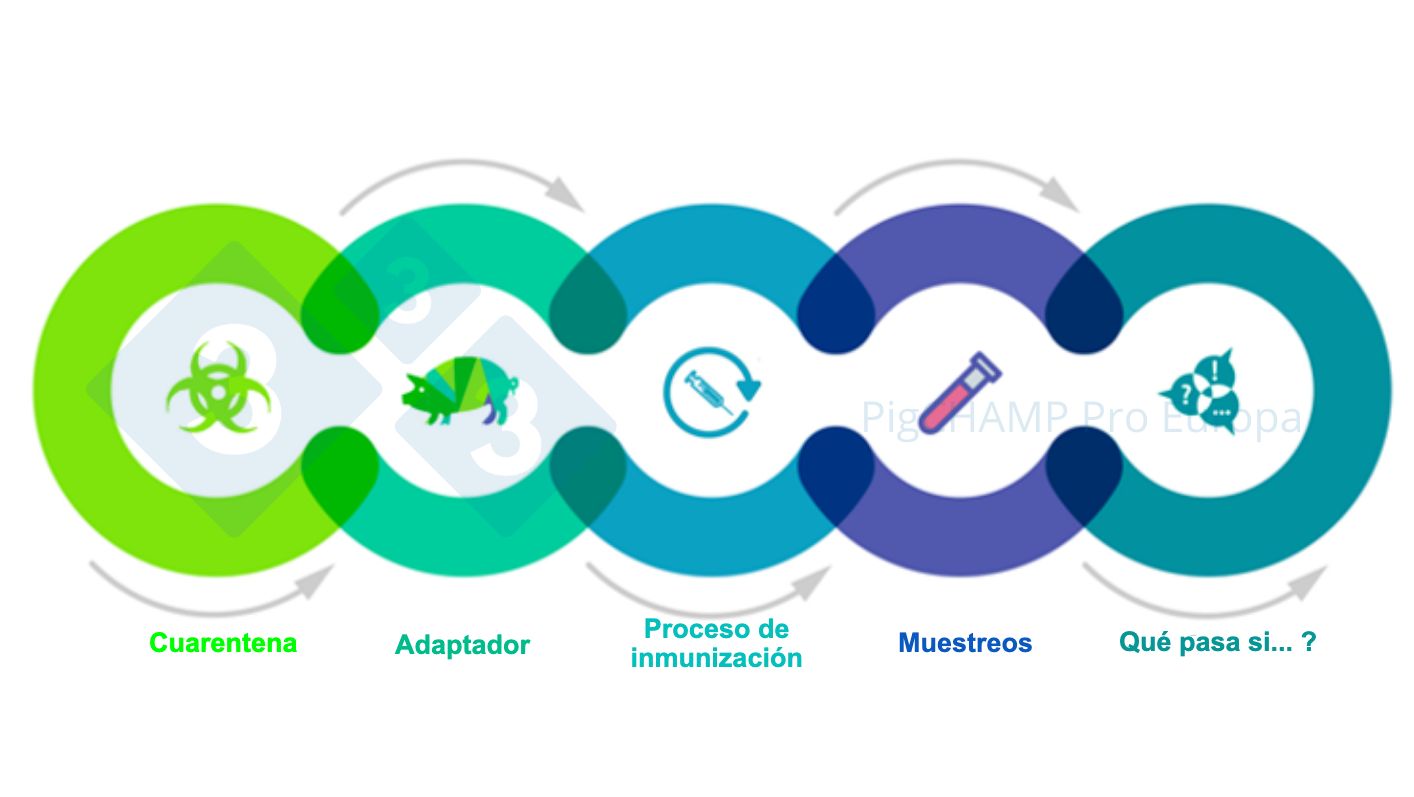 Figure 1. Principaux aspects interconnect&eacute;s qui doivent &ecirc;tre connus avant la visite.
