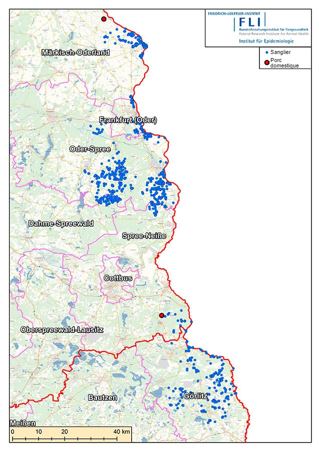 Carte des foyers de PPA en Allemagne (16 juillet 2021). Source : FLI
