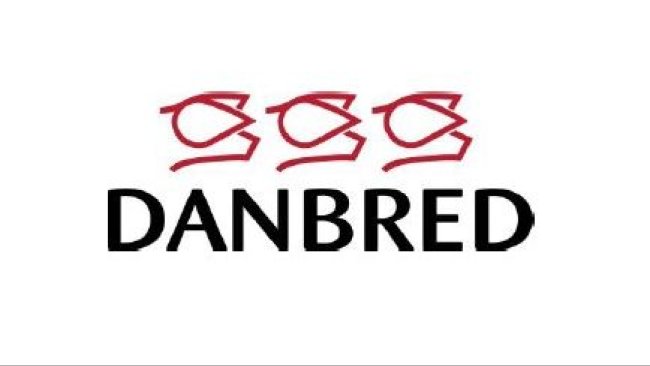 danbred