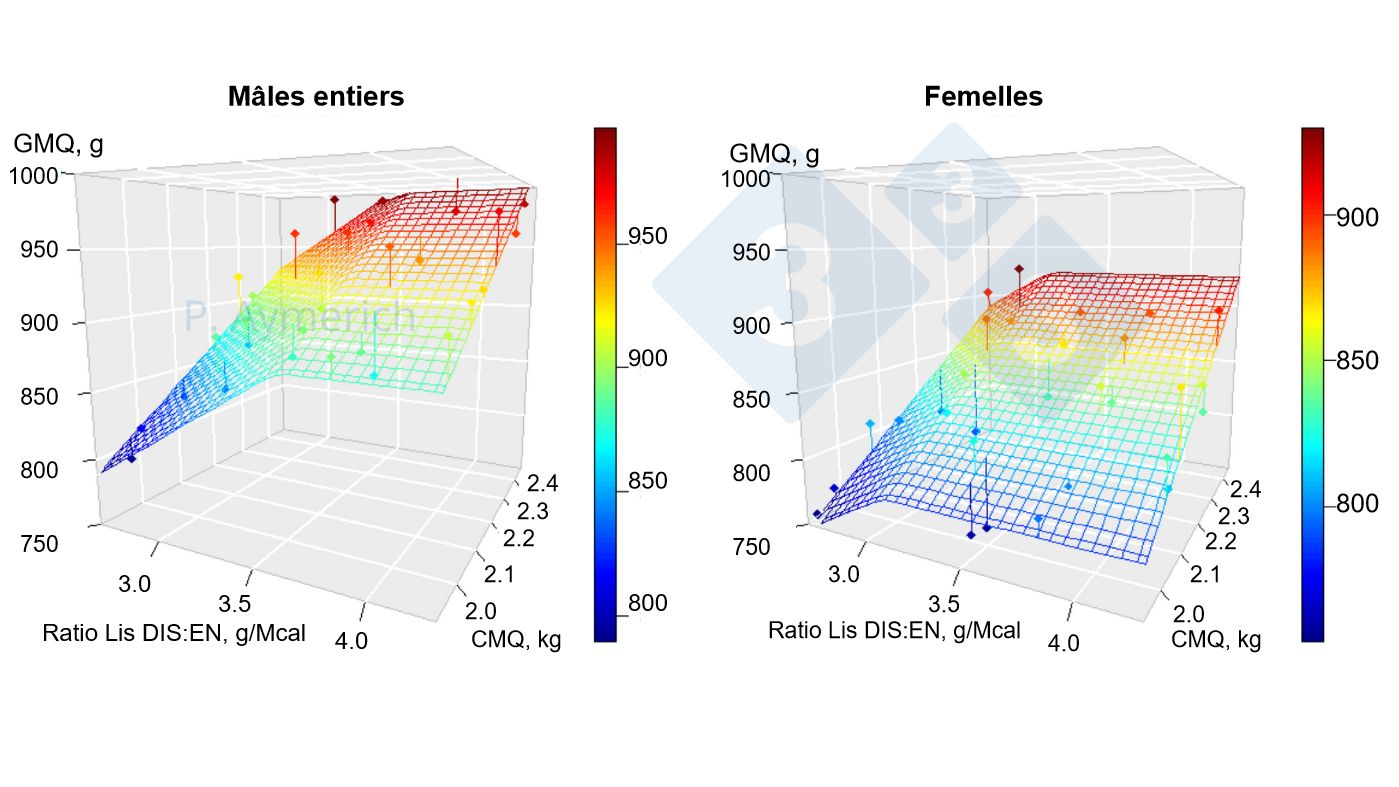 Figure 1. Mod&eacute;lisation de l'effet du rapport lysine-&eacute;nergie et de la consommation moyenne journali&egrave;re chez les m&acirc;les entiers et les femelles entre 70 et 105 kg de poids vif. GMQ =Gain moyen quotidien CMQ = consommation moyenne quotidienne. Source : Aymerich et al., 2020.
