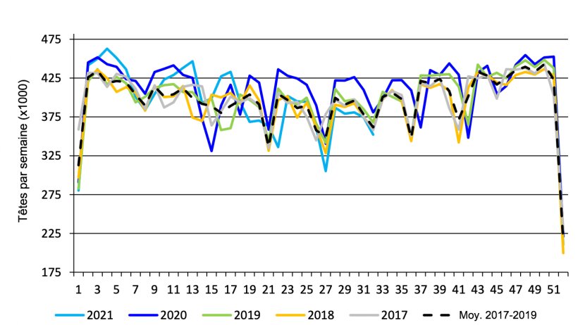 Abattage hebdomadaire de porcs sur le march&eacute; f&eacute;d&eacute;ral canadien. Source : USDA d&rsquo;apr&egrave;s Agriculture and Agri-Food Canada.
