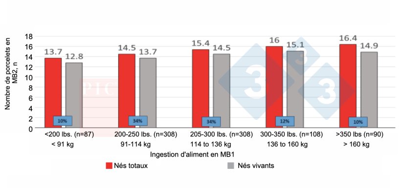 Figure 1. Effet de la consommation alimentaire en première mise-bas sur la taille de la portée de la deuxième mise-bas. Cela vaut la peine de réduire les baisses de consommation chez les jeunes femelles. Source : PIC North America Technical Services (non publié).