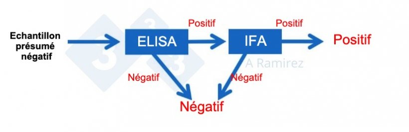 Figure 2. Diagramme d&eacute;montrant l&#39;utilisation de l&#39;IFA comme test de confirmation pour les &eacute;chantillons qui sont de mani&egrave;re inattendue positifs pour la PPA par ELISA. Un &eacute;chantillon pr&eacute;sum&eacute; n&eacute;gatif qui donne un r&eacute;sultat ELISA n&eacute;gatif est consid&eacute;r&eacute; comme n&eacute;gatif. Si cet &eacute;chantillon donne de mani&egrave;re inattendue un r&eacute;sultat positif, un test IFA peut &ecirc;tre effectu&eacute; comme test de confirmation. Autrement dit, si le test IFA est positif, l&#39;&eacute;chantillon est confirm&eacute; comme &eacute;tant positif. Si le test IFA est n&eacute;gatif, on supposera qu&#39;il s&#39;agit d&#39;un faux positif tant que la PCR est &eacute;galement n&eacute;gative pour confirmer qu&#39;il n&#39;y a pas d&#39;infection r&eacute;cente.
