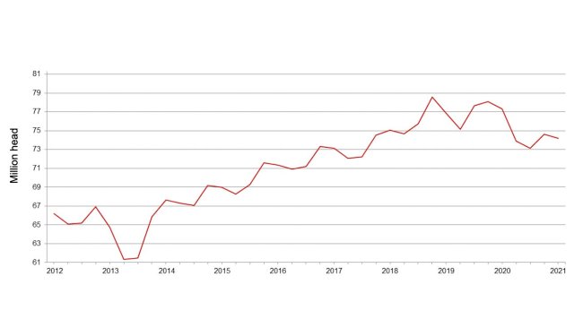 Effectif trimestriel de porcs aux États-Unis - 1er décembre. Source : USDA.