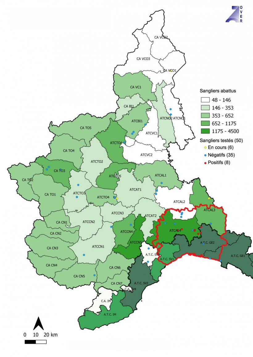 Animales testados, negativos y positivos para PPA en Piemonte y Liguria (Italia). Fuente: IZSPLV
