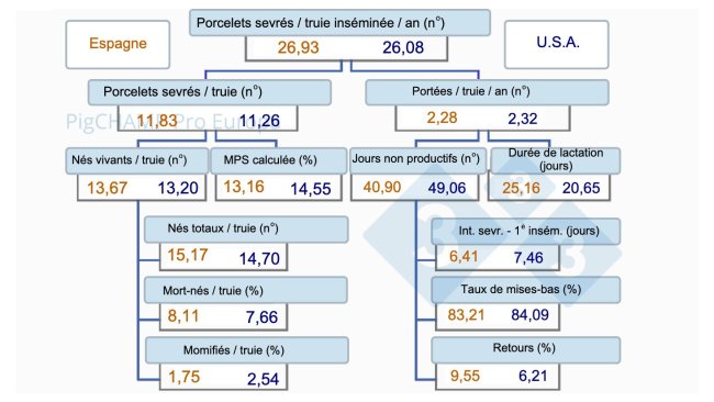 Imagen1. Arbre de productivité, Espagne vs USA, 2019.