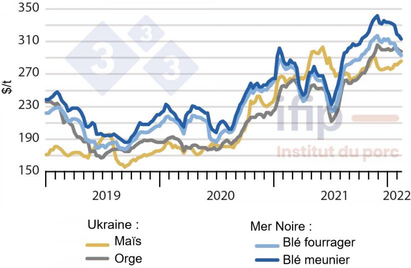 Prix des céréales en mer Noire (Source : Ifip d’après APK)