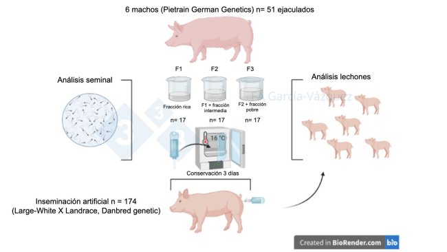 Figure 1. Résumé graphique de l'étude