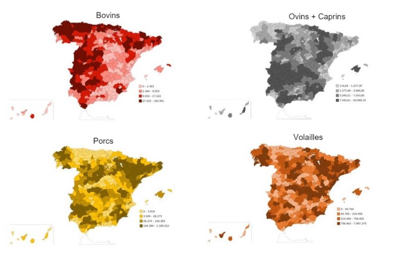 Répartition géographique des types de bétail par espèce. Source : INE.