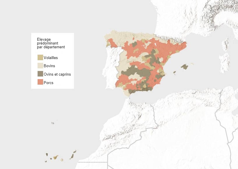 Type de bétail prédominant en Espagne (selon l'UGT). Source : INE.