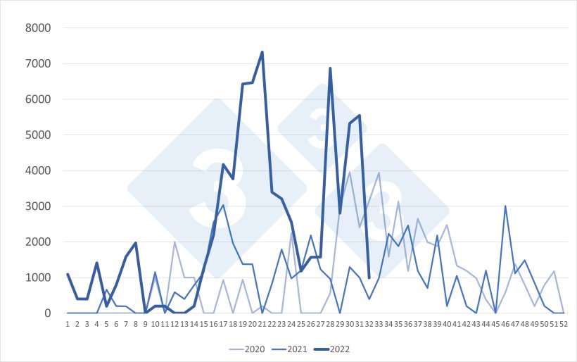Importations hebdomadaires de porcs néerlandais (têtes). Source : 333 selon les données du RVO.