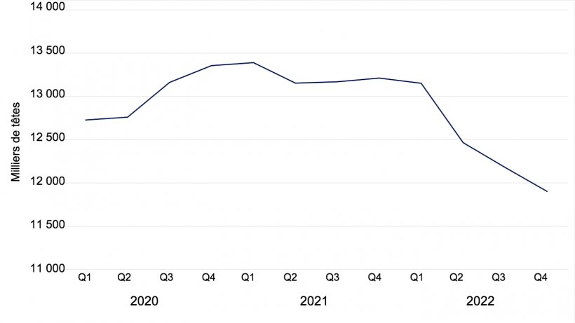 Effectif porcin total au Danemark en milliers de t&ecirc;tes. Donn&eacute;es de Statistics Denmark.
