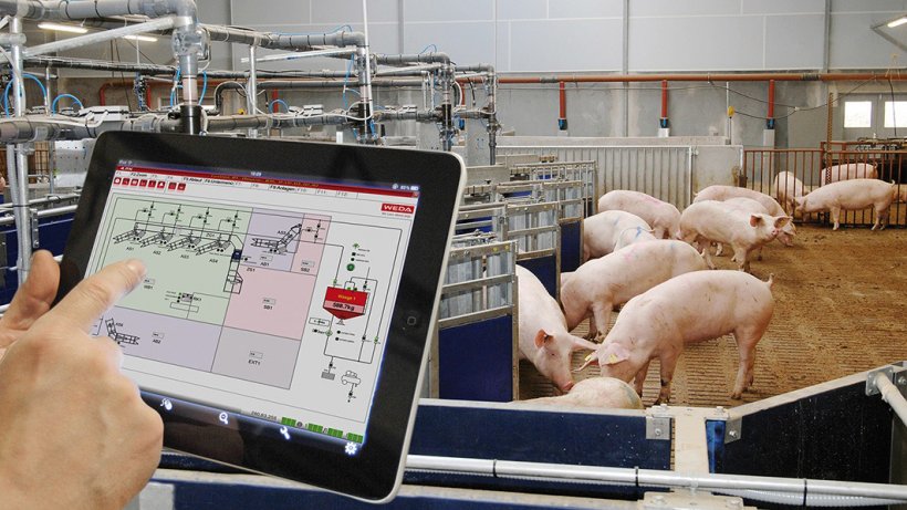 On the one hand, the WEDA products ensure the optimisation of performance and farm results and, on the other hand, the implementation of the most modern methods of sustainable animal well fare standards. With the help of the WEDA software, data collection and transparency are comprehensively guaranteed.
