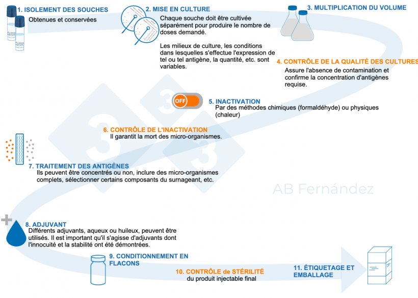 Figure 1 : Sch&eacute;ma de la fabrication d&#39;un autovaccin
