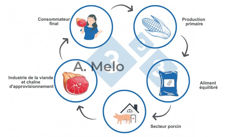 Figure 1 : Graphique de la cha&icirc;ne alimentaire, de la production primaire &agrave; la table du consommateur final.
