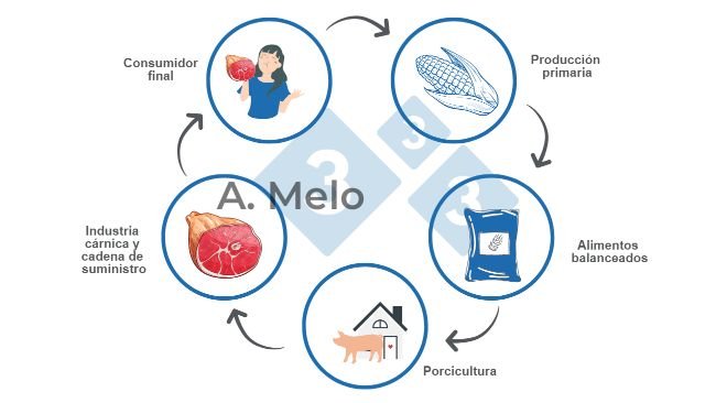 Figure 1 : Graphique de la chaîne alimentaire, de la production primaire à la table du consommateur final.