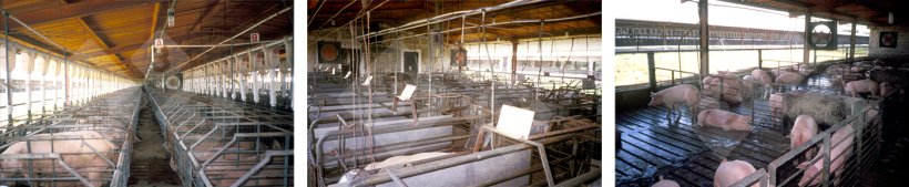 Figure 8 : Nous différencions le mode de consommation en fonction de la phase de production.