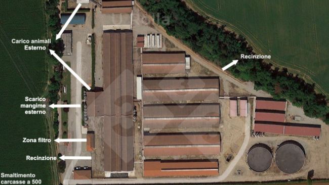 Fig. 1. Vue a&eacute;rienne de l&rsquo;&eacute;levage de truies.
