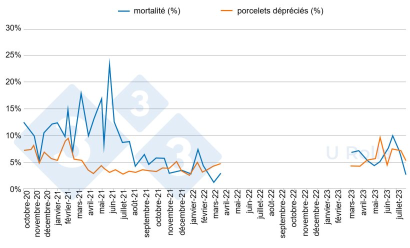 Fig. 5. Mortalité (%) et proportion de porcelets de deuxième catégorie dans les PS avant (octobre 2020 à mars 2022) et après (mars à juillet 2023) le dépeuplement/repeuplement.