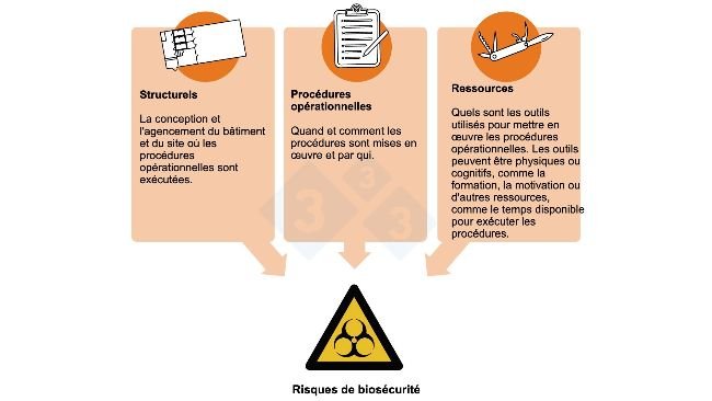 Figure 2 : Risques pour la biosécurité et points critiques : aspects des processus de production où des mesures de contrôle peuvent être mises en œuvre.