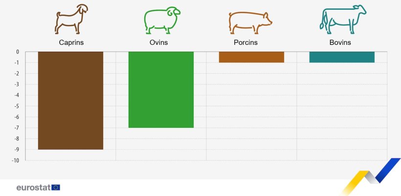 Figure 1. Evolution pr&eacute;vue de la production animale dans l'UE, p&eacute;riodes s&eacute;lectionn&eacute;es 2024 par rapport &agrave; 2023. Ch&egrave;vres, ovins et bovins, deuxi&egrave;me semestre 2024 par rapport au deuxi&egrave;me semestre 2023. Porcs, quatri&egrave;me trimestre 2024 par rapport au quatri&egrave;me trimestre de 2023. Source : Commission europ&eacute;enne.

