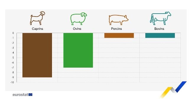 Figure 1. Evolution prévue de la production animale dans l'UE, périodes sélectionnées 2024 par rapport à 2023. Chèvres, ovins et bovins, deuxième semestre 2024 par rapport au deuxième semestre 2023. Porcs, quatrième trimestre 2024 par rapport au quatrième trimestre de 2023. Source : Commission européenne.