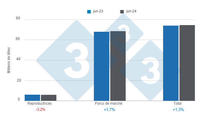 Graphique 1 : Effectif porcin am&eacute;ricain au 1er juin 2024, variations annuelles. Elabor&eacute; par le Service Economie et Intelligence des March&eacute;s de 333 Am&eacute;rique Latine selon les donn&eacute;es de l&#39;USDA - NASS.
