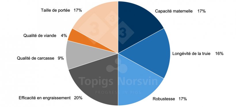 Figure 1 : L&#39;objectif de s&eacute;lection en 2023 pour la truie TN70 comprend 41 caract&egrave;res diff&eacute;rents. L&#39;objectif de s&eacute;lection refl&egrave;te notre vision du TN70 en tant que truie hyperprolifique hautement autosuffisante qui se diff&eacute;rencie par ses capacit&eacute;s maternelles et sa rusticit&eacute; accrues.
