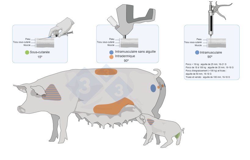 Figure 3 : Points d&rsquo;administration et types de vaccins chez les porcs et les porcelets.
