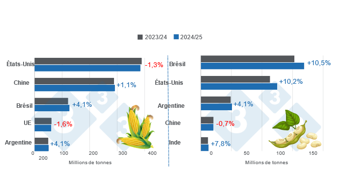 Graphique 1. Pr&eacute;visions de r&eacute;colte pour les principaux producteurs mondiaux de ma&iuml;s et de soja &ndash; campagne 2024/25 versus cycle 2023/24 &ndash; derni&egrave;re mise &agrave; jour : 12 ao&ucirc;t 2024. &Eacute;labor&eacute; par le D&eacute;partement d&#39;&Eacute;conomie et d&#39;Intelligence des March&eacute;s avec des donn&eacute;es de FAS &ndash; USDA.
